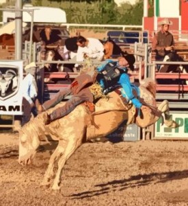 Rodeo at the Northwest Montana Fair
