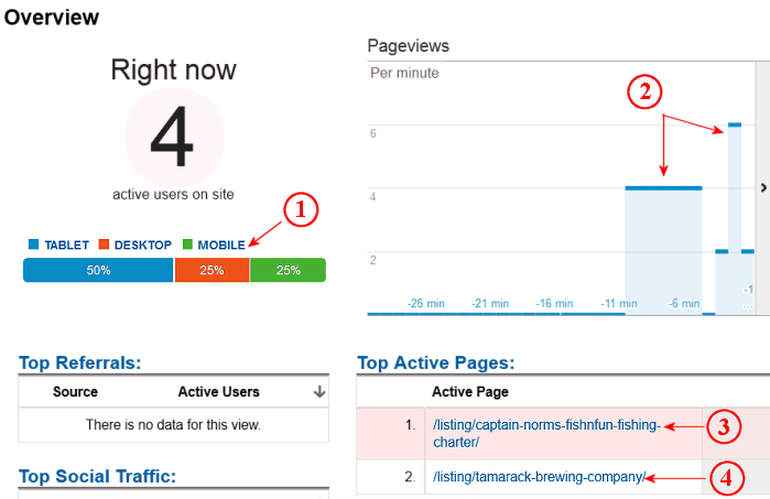 Analytics Intelligence